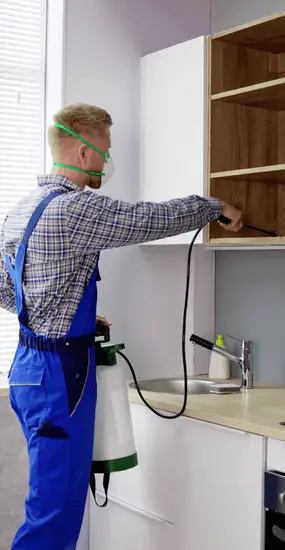 Termite Control Melbourne
