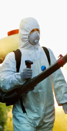 MelBuzz Pest Control technician in protective suit applying professional pest control treatment, ensuring safe