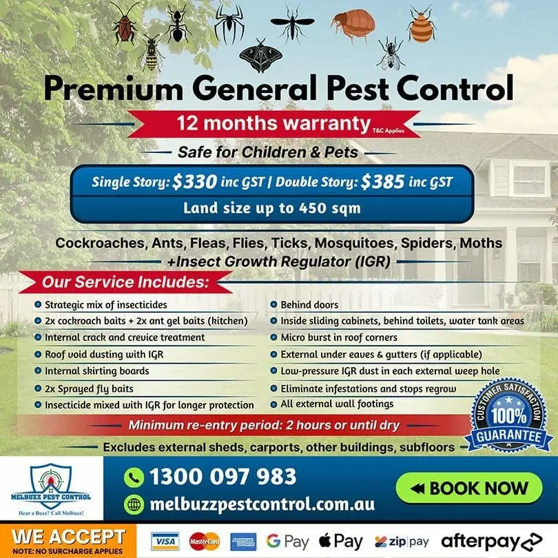 12-Month Pest-Free Warranty: What It Covers & How It Works