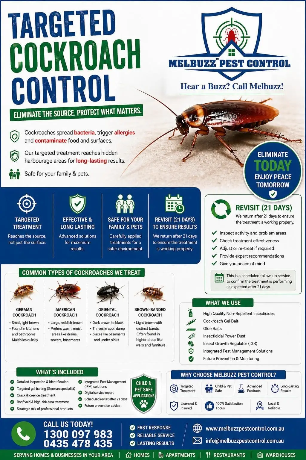 Comparison of German and American cockroaches showcasing physical differences